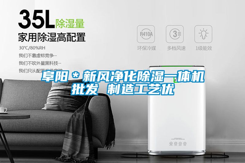 阜陽＊新風(fēng)凈化除濕一體機批發(fā) 制造工藝優(yōu)