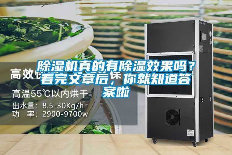 除濕機(jī)真的有除濕效果嗎？看完文章后，你就知道答案啦
