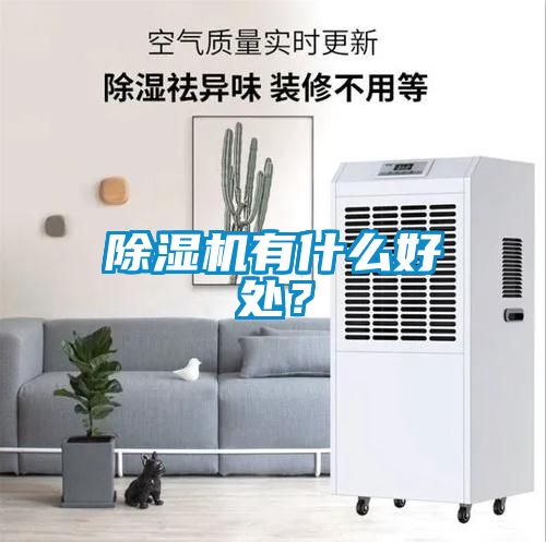 除濕機有什么好處？