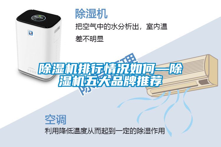 除濕機排行情況如何—除濕機五大品牌推薦