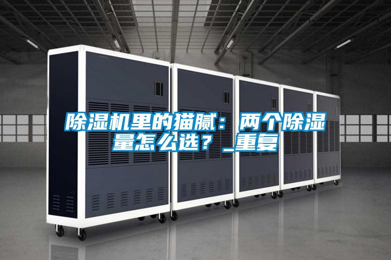 除濕機(jī)里的貓膩：兩個除濕量怎么選？_重復(fù)