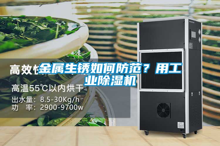 金屬生銹如何防范？用工業(yè)除濕機