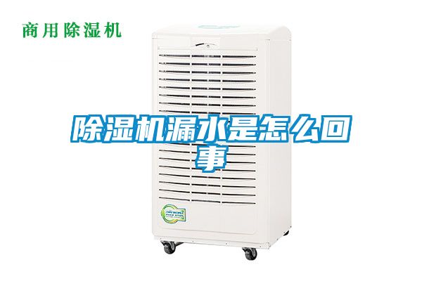 除濕機漏水是怎么回事
