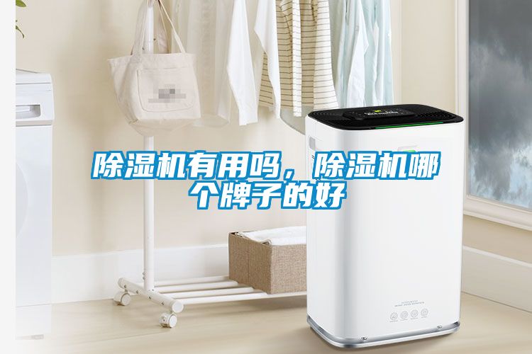 除濕機(jī)有用嗎，除濕機(jī)哪個(gè)牌子的好