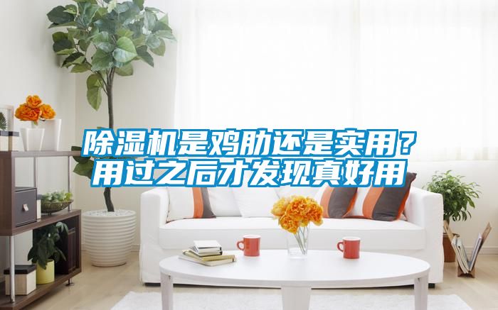 除濕機(jī)是雞肋還是實用？用過之后才發(fā)現(xiàn)真好用