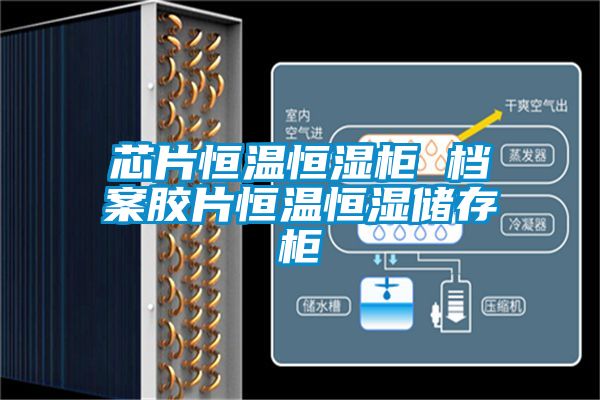 芯片恒溫恒濕柜 檔案膠片恒溫恒濕儲(chǔ)存柜