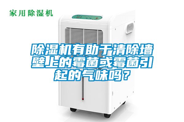 除濕機有助于清除墻壁上的霉菌或霉菌引起的氣味嗎？