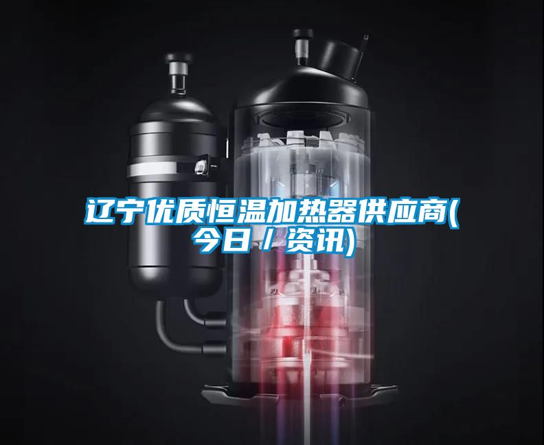遼寧優(yōu)質(zhì)恒溫加熱器供應(yīng)商(今日／資訊)