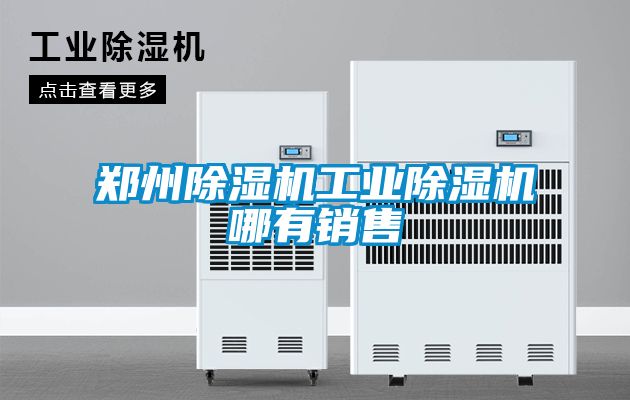 鄭州除濕機(jī)工業(yè)除濕機(jī)哪有銷售