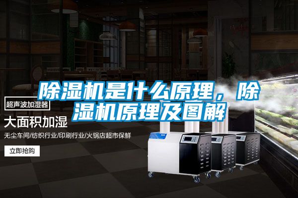 除濕機(jī)是什么原理，除濕機(jī)原理及圖解