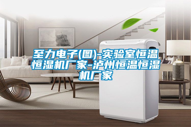 至力電子(圖)-實(shí)驗(yàn)室恒溫恒濕機(jī)廠家-瀘州恒溫恒濕機(jī)廠家