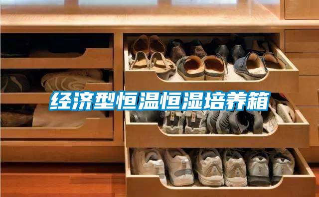 經濟型恒溫恒濕培養(yǎng)箱