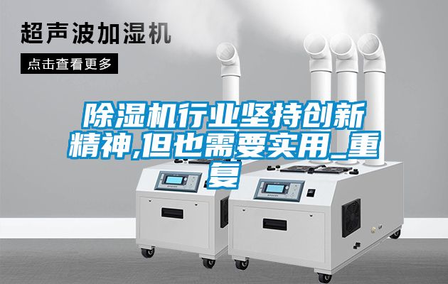 除濕機行業(yè)堅持創(chuàng)新精神,但也需要實用_重復