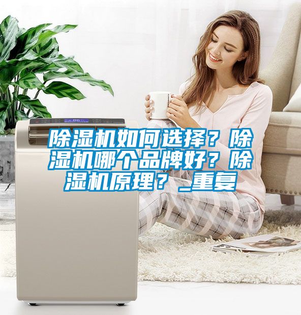 除濕機如何選擇？除濕機哪個品牌好？除濕機原理？_重復