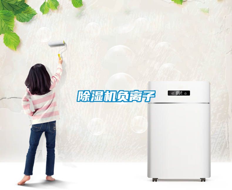 除濕機(jī)負(fù)離子