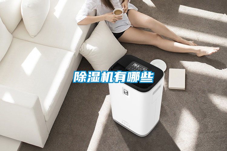 除濕機(jī)有哪些