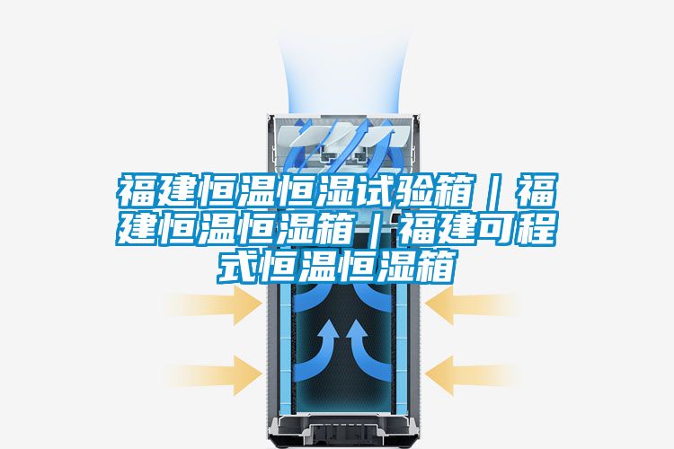福建恒溫恒濕試驗箱｜福建恒溫恒濕箱｜福建可程式恒溫恒濕箱