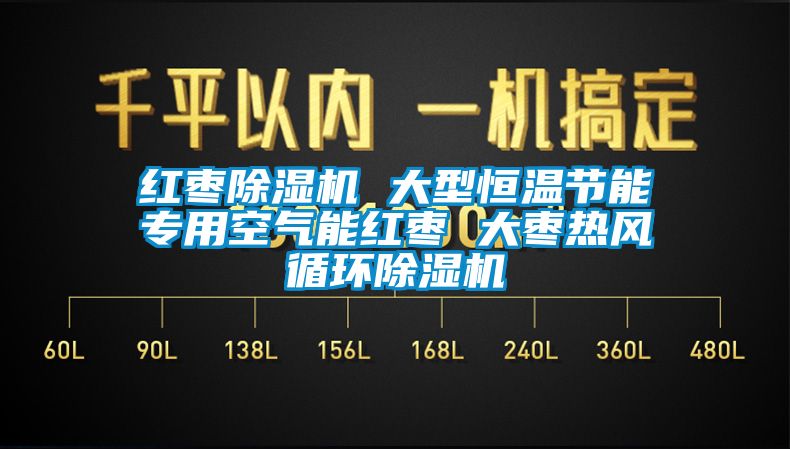 紅棗除濕機(jī) 大型恒溫節(jié)能專用空氣能紅棗 大棗熱風(fēng)循環(huán)除濕機(jī)