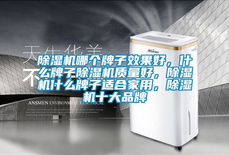 除濕機(jī)哪個(gè)牌子效果好，什么牌子除濕機(jī)質(zhì)量好，除濕機(jī)什么牌子適合家用，除濕機(jī)十大品牌
