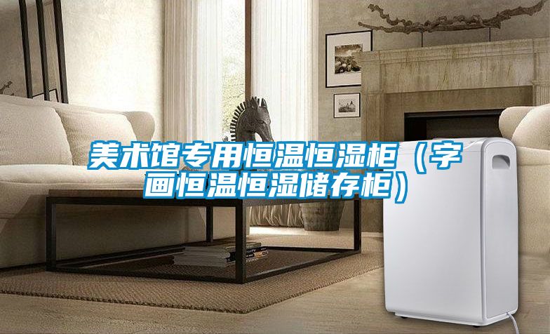 美術(shù)館專(zhuān)用恒溫恒濕柜（字畫(huà)恒溫恒濕儲(chǔ)存柜）