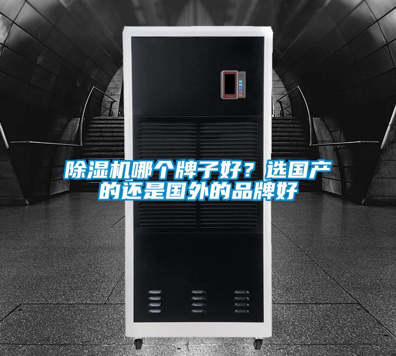 除濕機(jī)哪個(gè)牌子好？選國(guó)產(chǎn)的還是國(guó)外的品牌好