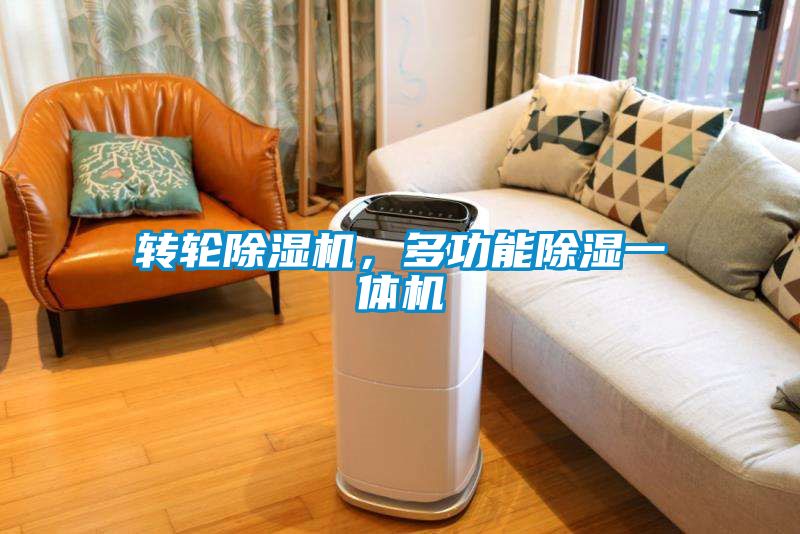 轉(zhuǎn)輪除濕機，多功能除濕一體機