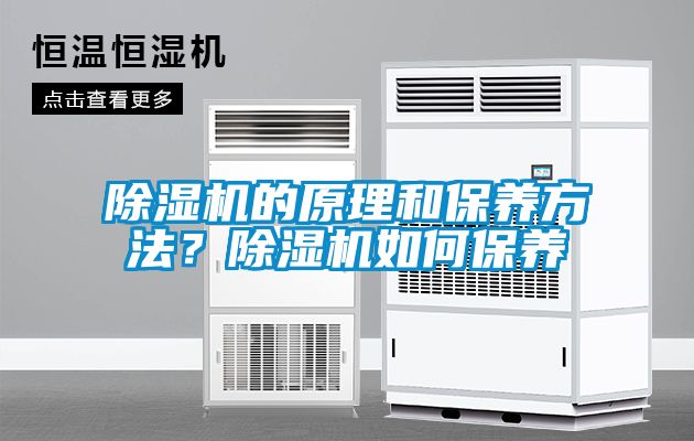 除濕機(jī)的原理和保養(yǎng)方法？除濕機(jī)如何保養(yǎng)