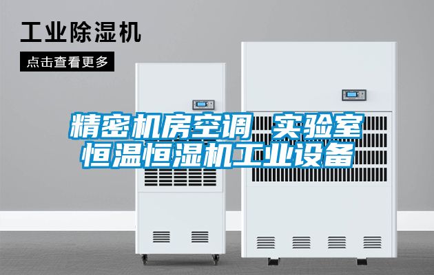 精密機(jī)房空調(diào) 實(shí)驗(yàn)室恒溫恒濕機(jī)工業(yè)設(shè)備