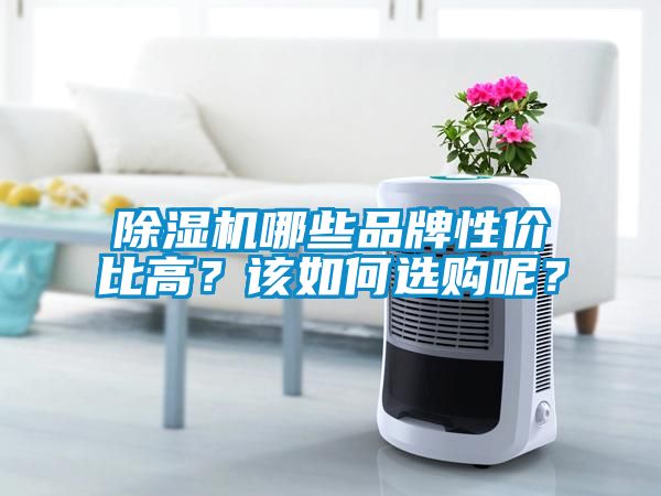 除濕機哪些品牌性價比高？該如何選購呢？