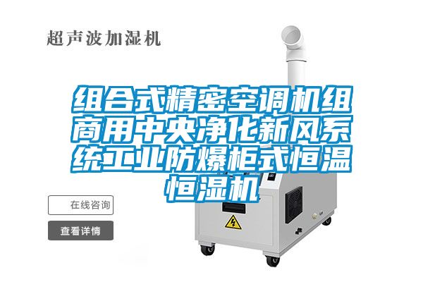 組合式精密空調(diào)機(jī)組商用中央凈化新風(fēng)系統(tǒng)工業(yè)防爆柜式恒溫恒濕機(jī)
