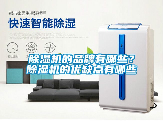 除濕機(jī)的品牌有哪些？除濕機(jī)的優(yōu)缺點(diǎn)有哪些