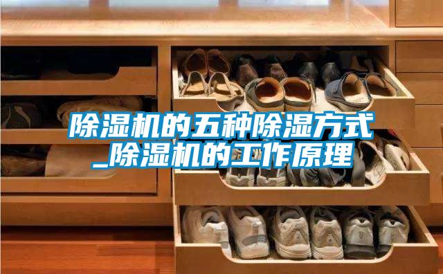 除濕機(jī)的五種除濕方式_除濕機(jī)的工作原理
