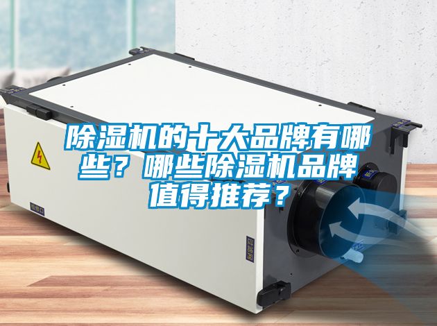 除濕機(jī)的十大品牌有哪些？哪些除濕機(jī)品牌值得推薦？