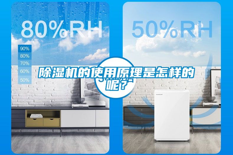 除濕機(jī)的使用原理是怎樣的呢？