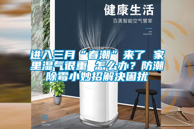 進(jìn)入三月“春潮”來(lái)了 家里濕氣很重 怎么辦？防潮除霉小妙招解決困擾