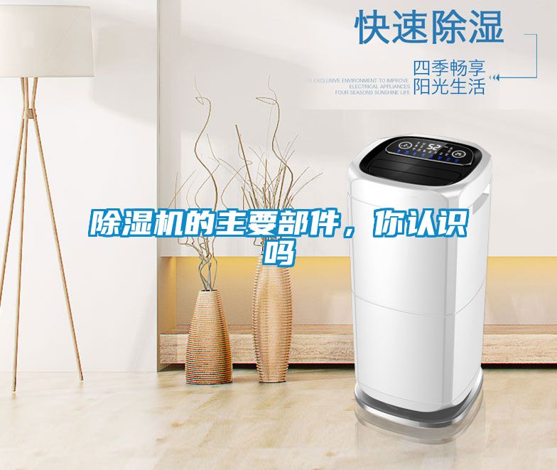 除濕機的主要部件，你認識嗎