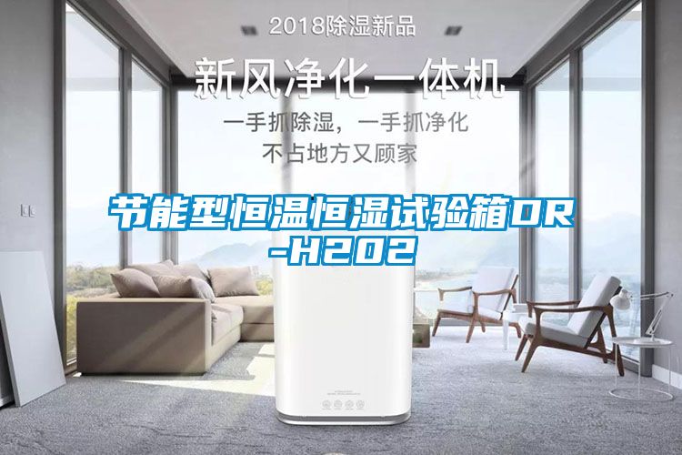 節(jié)能型恒溫恒濕試驗箱DR-H202