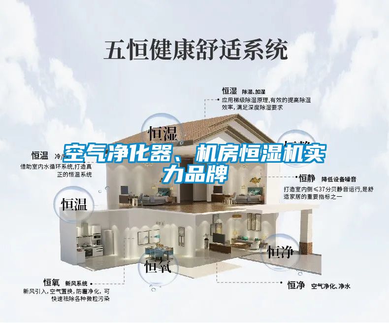空氣凈化器、機(jī)房恒濕機(jī)實(shí)力品牌