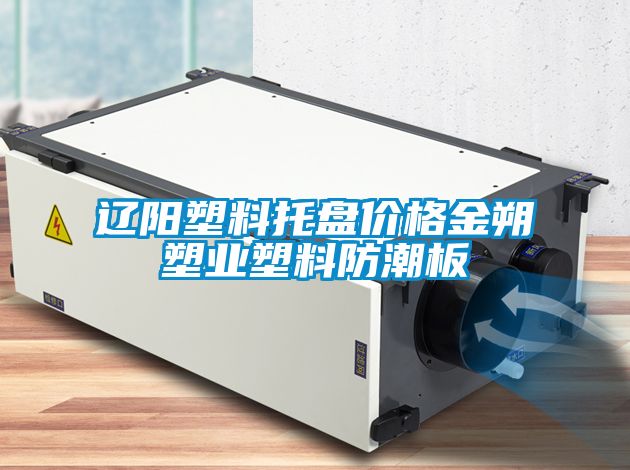 遼陽(yáng)塑料托盤(pán)價(jià)格金朔塑業(yè)塑料防潮板