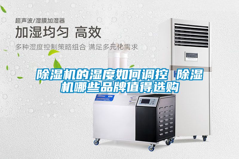 除濕機(jī)的濕度如何調(diào)控 除濕機(jī)哪些品牌值得選購(gòu)