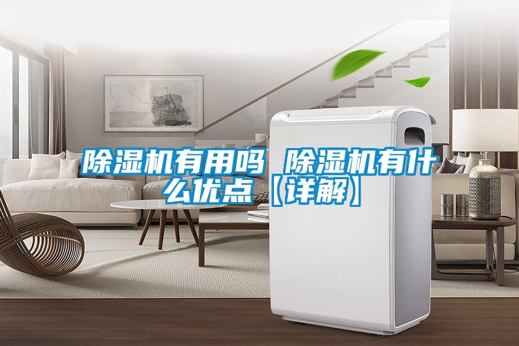 除濕機有用嗎 除濕機有什么優(yōu)點【詳解】