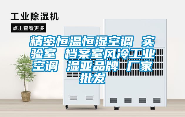 精密恒溫恒濕空調(diào) 實驗室 檔案室風冷工業(yè)空調(diào) 濕亞品牌 廠家批發(fā)