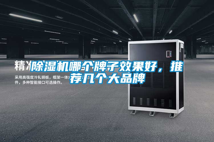 除濕機(jī)哪個(gè)牌子效果好，推薦幾個(gè)大品牌