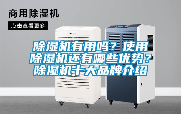 除濕機有用嗎？使用除濕機還有哪些優(yōu)勢？除濕機十大品牌介紹