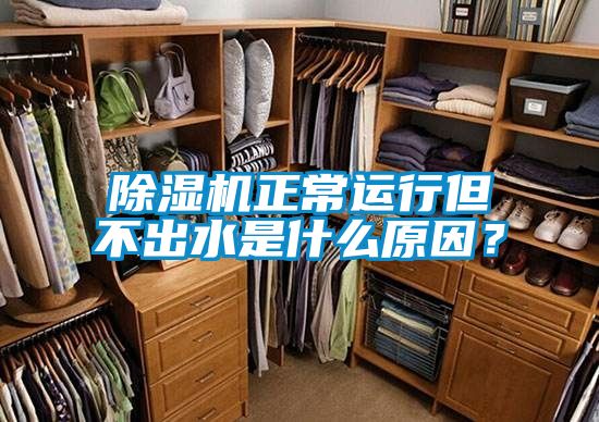 除濕機(jī)正常運(yùn)行但不出水是什么原因？