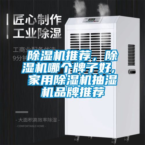 除濕機推薦，除濕機哪個牌子好, 家用除濕機抽濕機品牌推薦