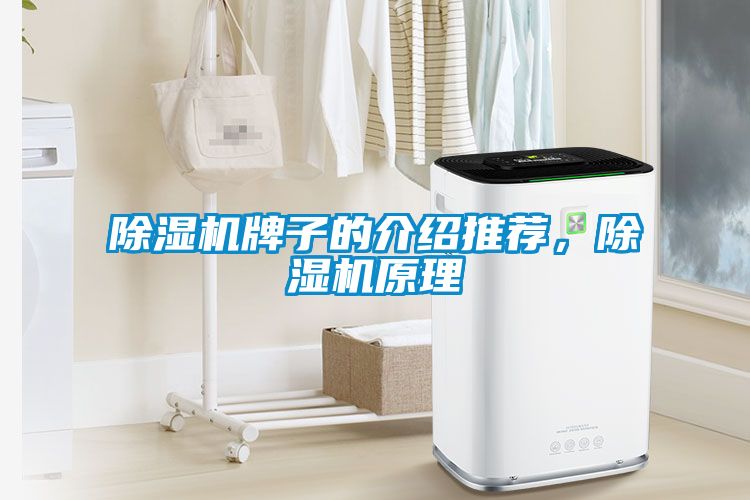 除濕機(jī)牌子的介紹推薦，除濕機(jī)原理