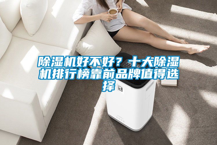 除濕機好不好？十大除濕機排行榜靠前品牌值得選擇