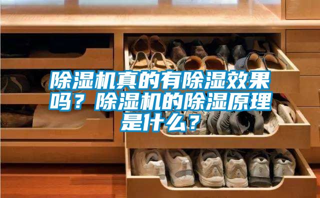 除濕機(jī)真的有除濕效果嗎？除濕機(jī)的除濕原理是什么？