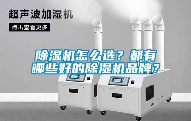 除濕機怎么選？都有哪些好的除濕機品牌？